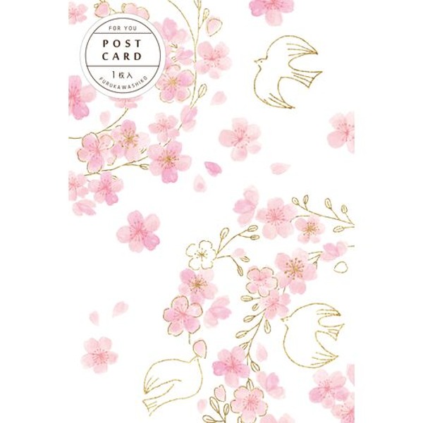 후루카와 포스트 카드 엽서 : 벚꽃과 새샐러드마켓